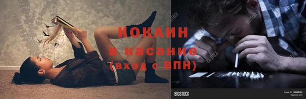 прущие грибы Володарск