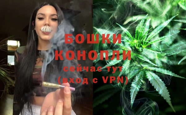 прущие грибы Володарск