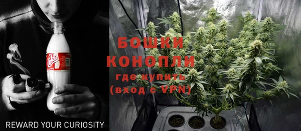 прущие грибы Володарск