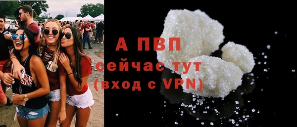 дмт Верея